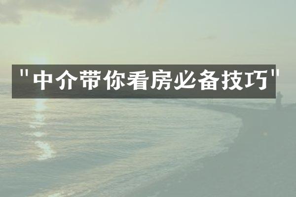 "中介带你看房必备技巧"