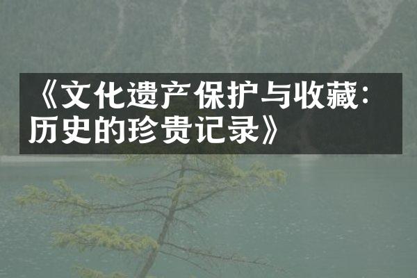 《文化遗产保护与收藏：历史的珍贵记录》