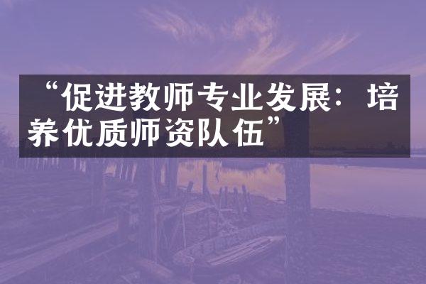 “促进教师专业发展：培养优质师资队伍”