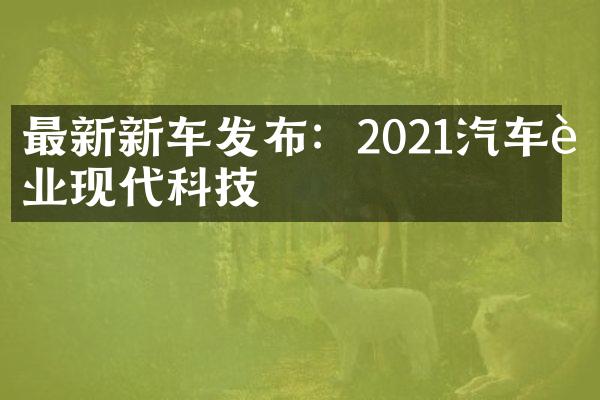 最新新车发布：2021汽车行业现代科技