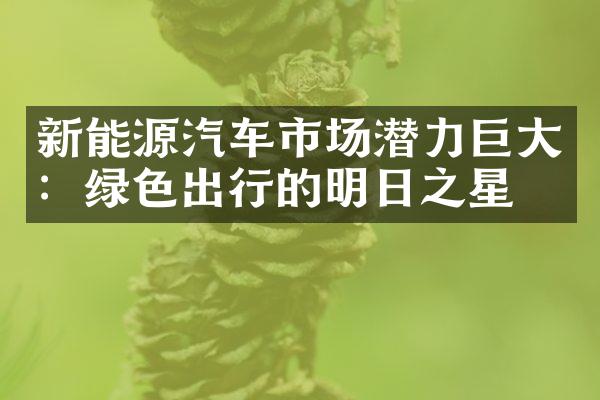 新能源汽车市场潜力巨大：绿色出行的明日之星