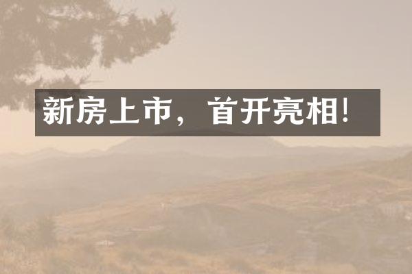 新房上市，首开亮相！