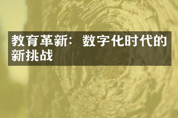 教育革新：数字化时代的新挑战