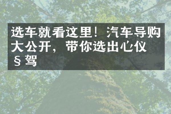 选车就看这里！汽车导购大公开，带你选出心仪座驾