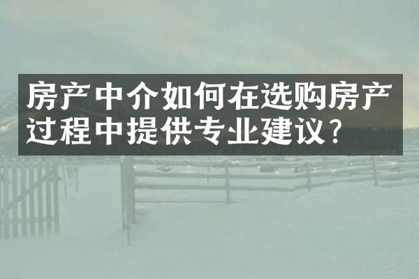 房产中介如何在选购房产过程中提供专业建议？