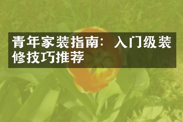 青年家装指南：入门级装修技巧推荐