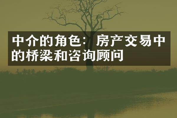 中介的角色：房产交易中的桥梁和咨询顾问