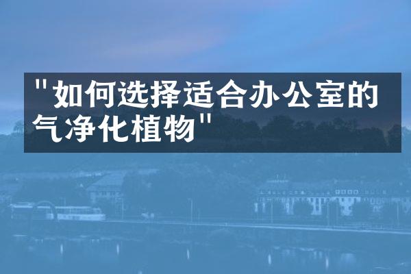 "如何选择适合办公室的空气净化植物"