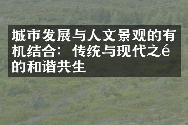 城市发展与人文景观的有机结合：传统与现代之间的和谐共生