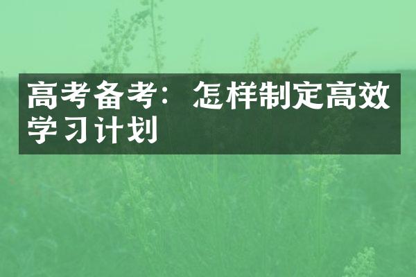 高考备考：怎样制定高效学计划