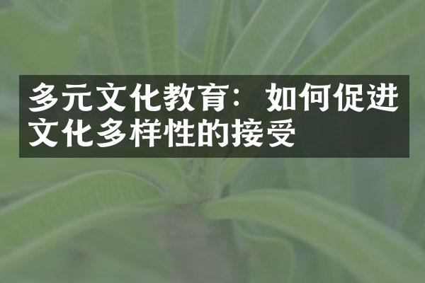 多元文化教育：如何促进文化多样性的接受