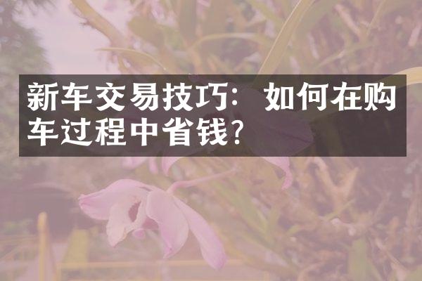 新车交易技巧：如何在购车过程中钱？