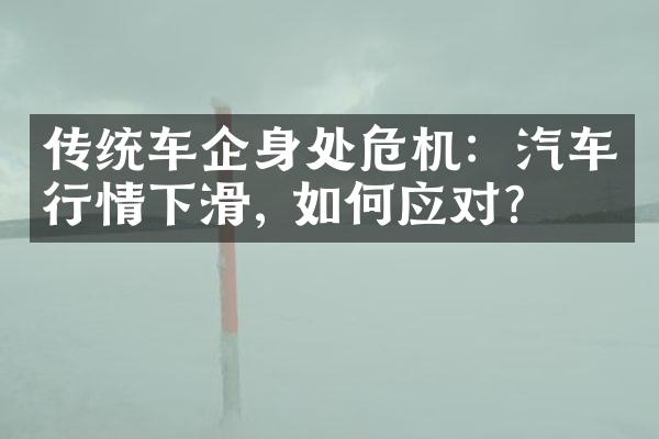 传统车企身处危机：汽车行情下滑, 如何应对?