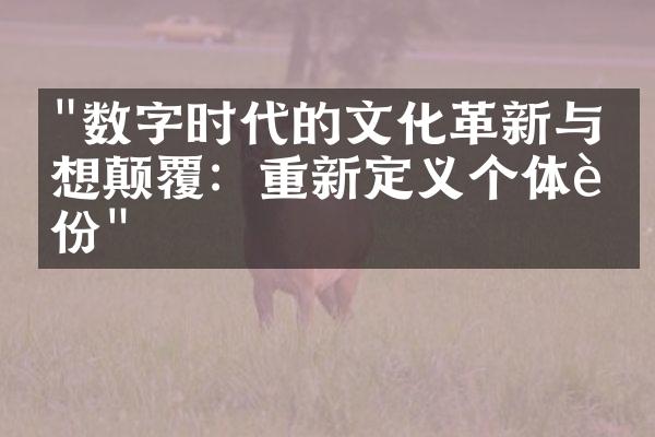 "数字时代的文化革新与思想颠覆：重新定义个体身份"