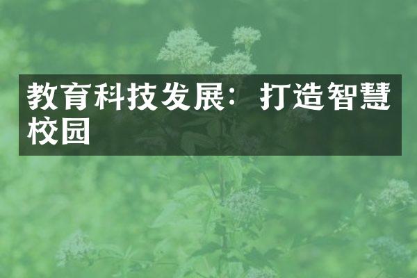 教育科技发展：打造智慧校园