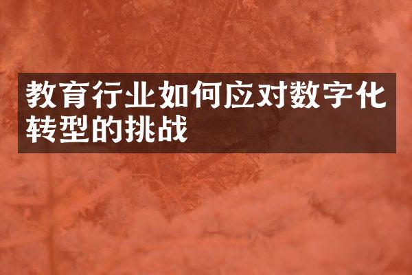 教育行业如何应对数字化转型的挑战