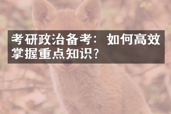 考研政治备考：如何高效掌握重点知识？