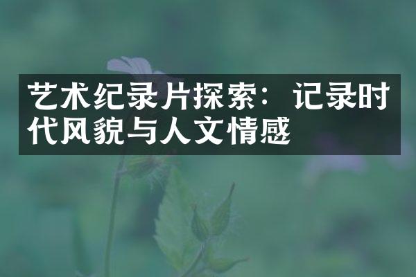 艺术纪录片探索：记录时代风貌与人文情感