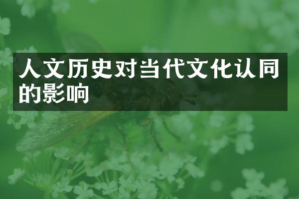 人文历史对当代文化认同的影响