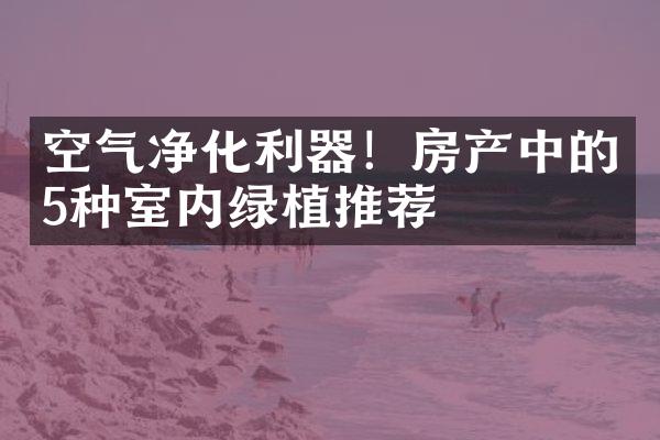 空气净化利器！房产中的5种室内绿植推荐