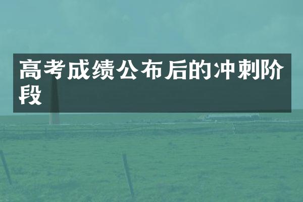 高考成绩公布后的冲刺阶段