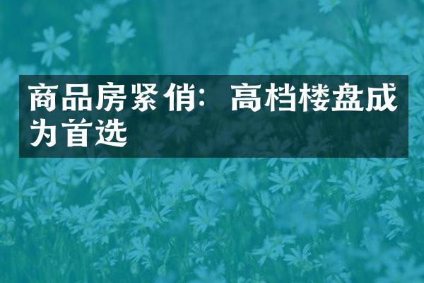 商品房紧俏：高档楼盘成为首选