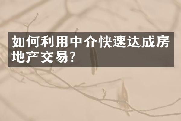 如何利用中介快速达成房地产交易？