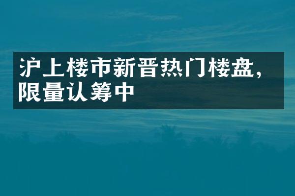 沪上楼市新晋热门楼盘，限量认筹中