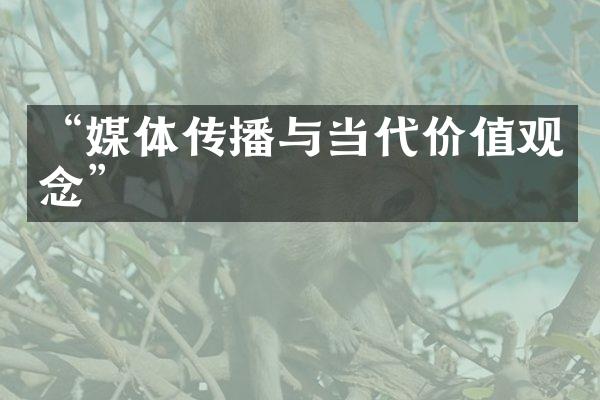 “媒体传播与当代价值观念”