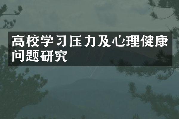 高校学习压力及心理健康问题研究