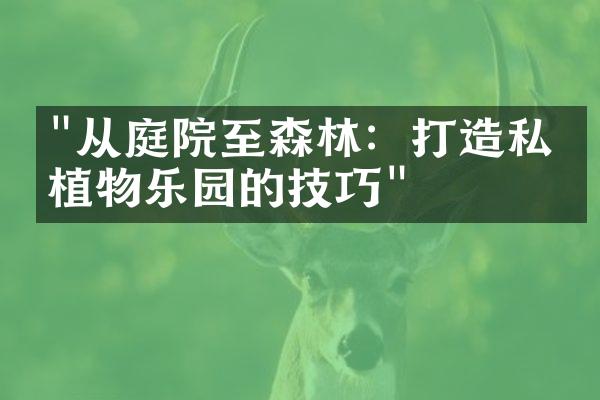 "从庭院至森林：打造私人植物乐园的技巧"