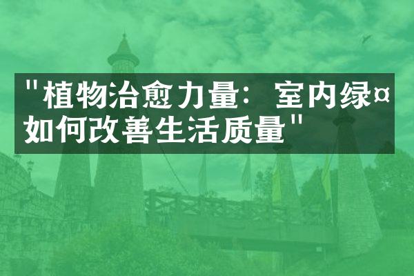 "植物治愈力量：室内绿植如何改善生活质量"