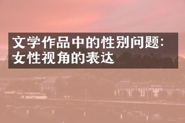 文学作品中的性别问题：女性视角的表达