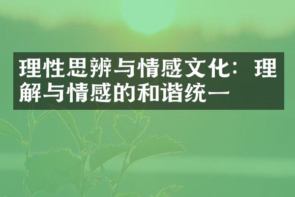 理性思辨与情感文化：理解与情感的和谐统一