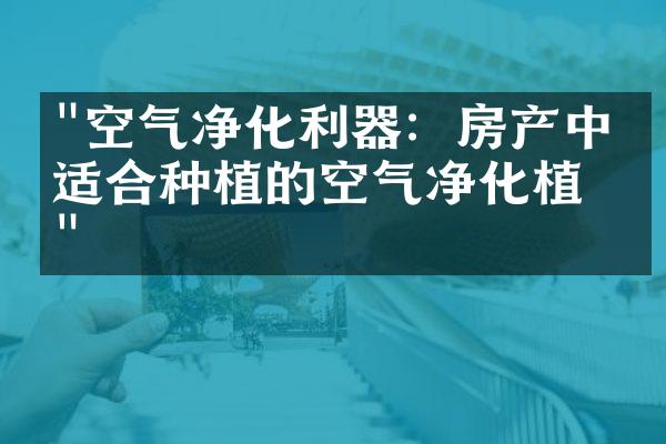 "空气净化利器：房产中最适合种植的空气净化植物"