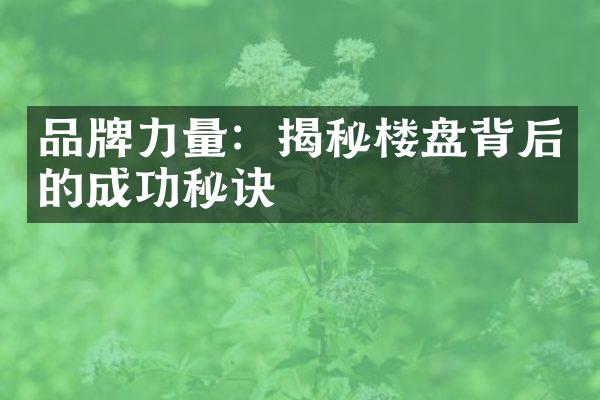 品牌力量：揭秘楼盘背后的成功秘诀