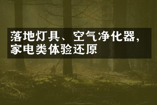 落地灯具、空气净化器，家电类体验还原