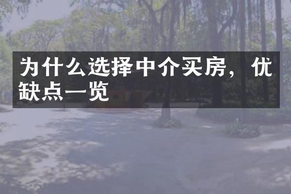 为什么选择中介买房，优缺点一览