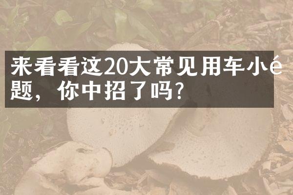 来看看这20大常见用车小问题，你中招了吗？