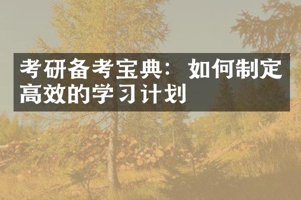 考研备考宝典：如何制定高效的学计划