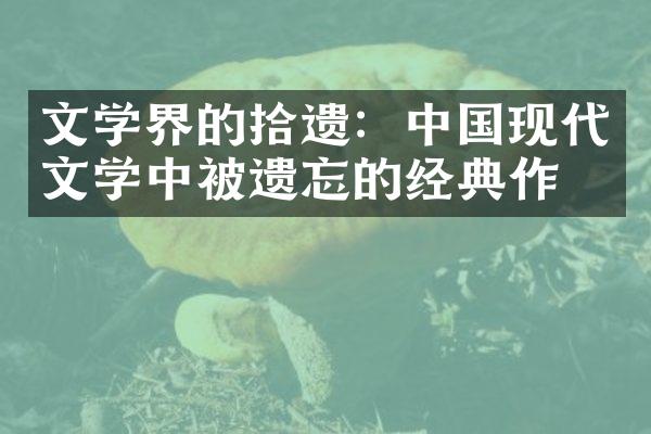 文学界的拾遗：中国现代文学中被遗忘的经典作品