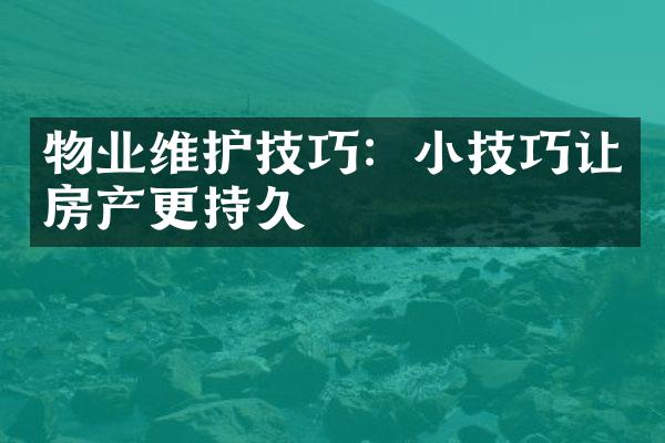 物业维护技巧：小技巧让房产更持久