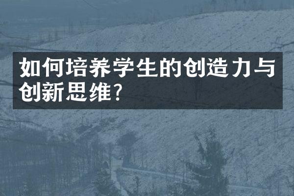 如何培养学生的创造力与创新思维？