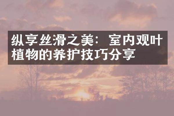 纵享丝滑之美：室内观叶植物的养护技巧分享