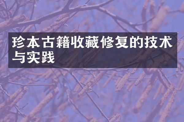 珍本古籍收藏修复的技术与实践