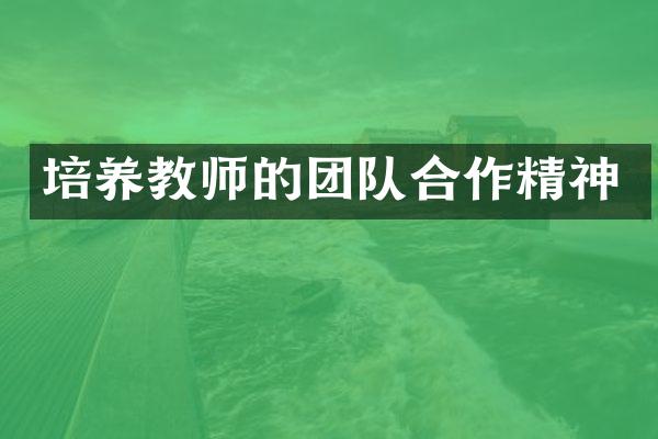 培养教师的团队合作精神