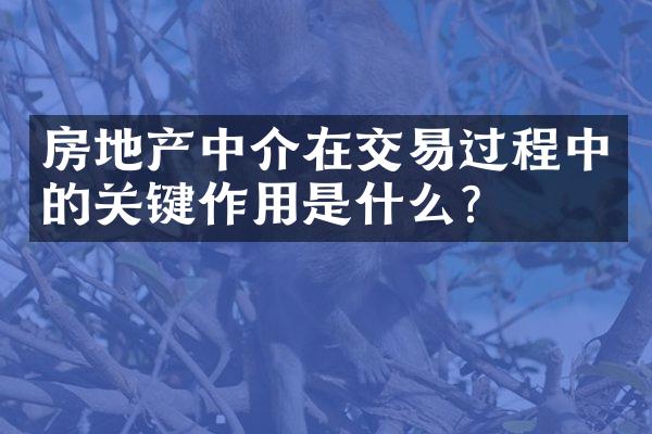 房地产中介在交易过程中的关键作用是什么？