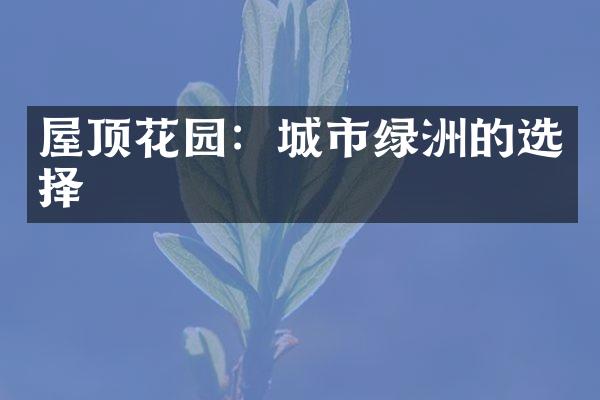 屋顶花园：城市绿洲的选择