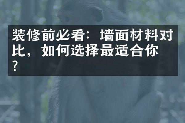 装修前必看：墙面材料对比，如何选择最适合你的？