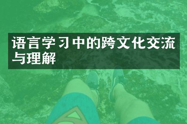 语言学中的跨文化交流与理解